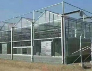 玻璃温室大棚建设需要考虑天气因素么