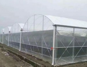 连栋薄膜温室的结构优点分析