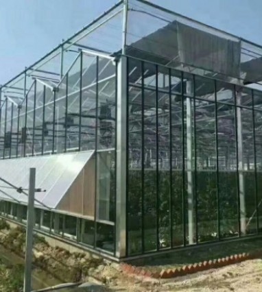 智能温室大棚的发展趋势