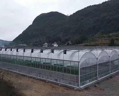 薄膜连栋温室