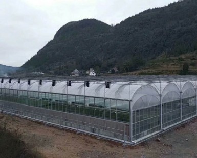 连栋薄膜温室