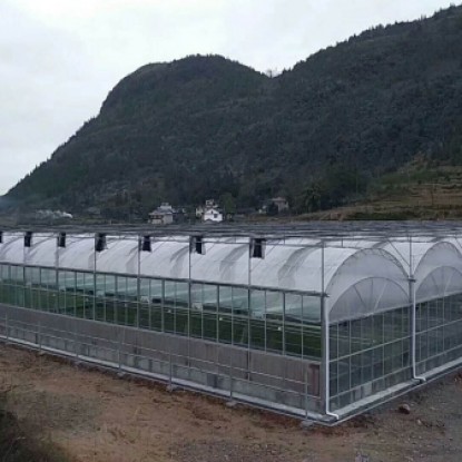 连栋薄膜温室