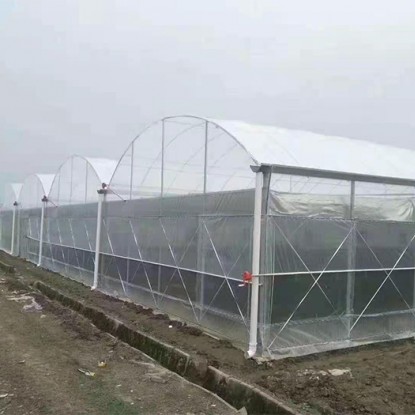 薄膜连栋温室