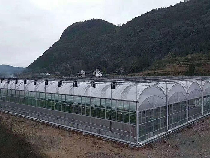 薄膜连栋温室