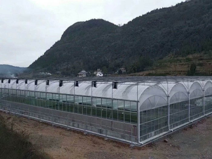 连栋薄膜温室